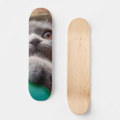 Grijze kat in kartonnen doos persoonlijk skateboard (Voorkant)