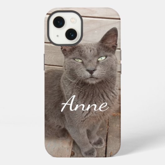 Grijze kat iPhone hoesje (Achterkant)