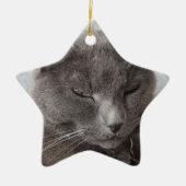 Grijze kat keramisch ornament (Voorkant)