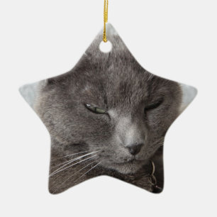 Grijze kat keramisch ornament