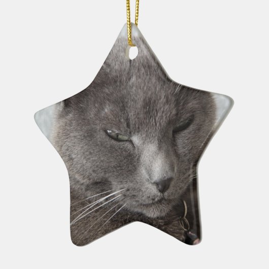 Grijze kat keramisch ornament (Links)