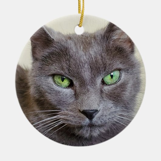 Grijze kat keramisch ornament (Voorkant)