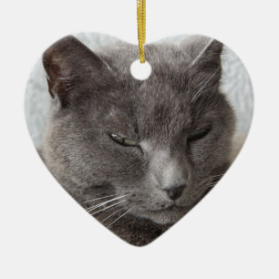 Grijze kat keramisch ornament