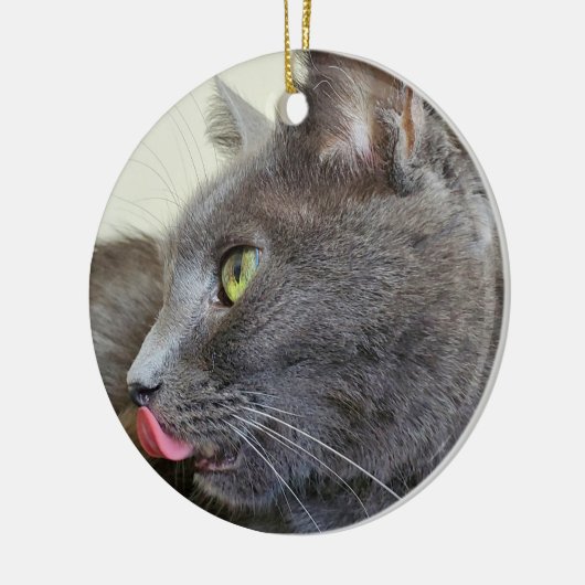 Grijze kat keramisch ornament (Links)
