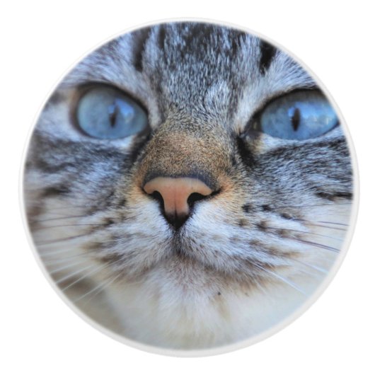 Grijze kat keramische knop (Voorkant)