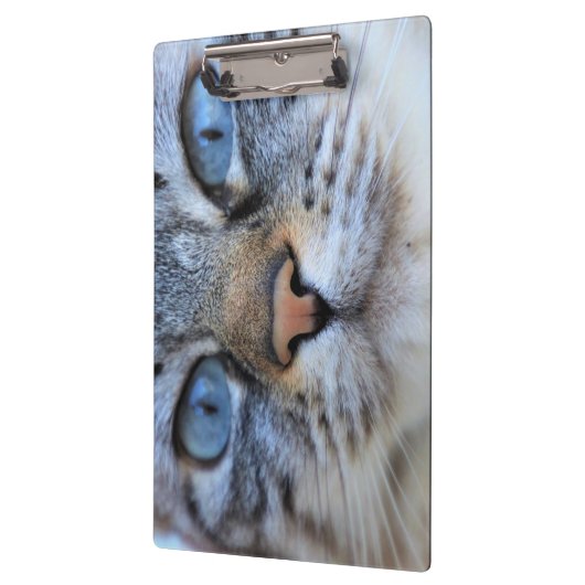 Grijze kat klembord (Links)