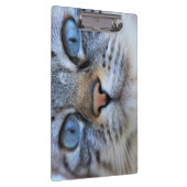 Grijze kat klembord (Rechts)