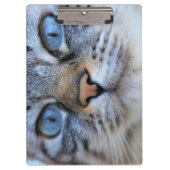 Grijze kat klembord (Voorkant)