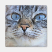 Grijze kat magneet (Voorkant)