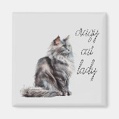 Grijze kat magneet (Voorkant)