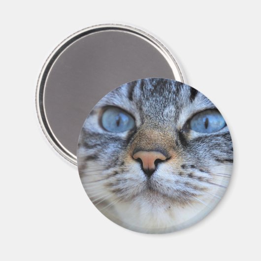 Grijze kat magneet (Voorkant / Achterkant)