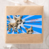 Grijze kat met blauwe labels (Insitu)