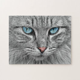 Grijze kat met blauwe ogen legpuzzel