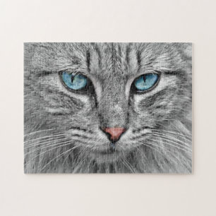 Grijze kat met blauwe ogen legpuzzel