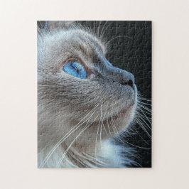 Grijze kat met blauwe ogen legpuzzel