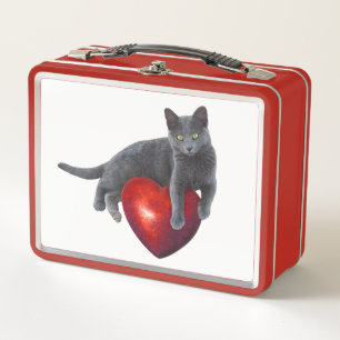 Grijze kat met de basisdoos