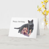 Grijze Kat met de Huidige Kaart van de Verjaardag (Gele Bloem)