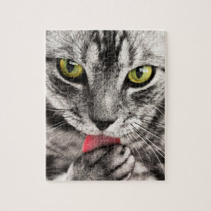 Grijze kat met gele groene verf legpuzzel