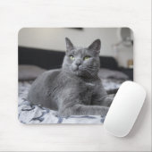 Grijze kat met groene ogen muismat (Met muis)