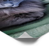 Grijze kat met  groene ogen poster (Hoek)