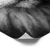 Grijze kat met heldere groene ogen poster (Hoek)