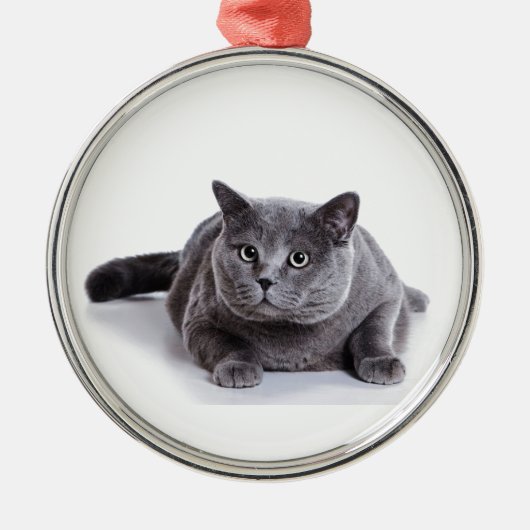 Grijze kat metalen ornament (Voorkant)