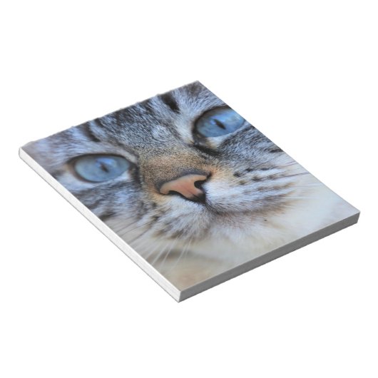 Grijze kat notitieblok (Schuin)