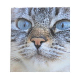 Grijze kat notitieblok