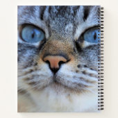 Grijze kat notitieboek (Achterkant)