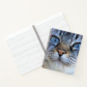 Grijze kat notitieboek (Binnen)