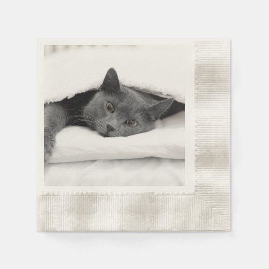 Grijze kat onder witte deken servetten (Voorkant)