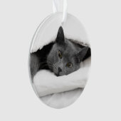 Grijze kat onder witte dop ornament (voorkant)