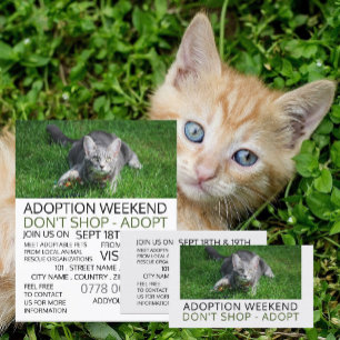 Grijze kat op gras, Pet Adoption Event Adverteren Flyer