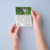 Grijze kat op gras, Pet Adoption Event Adverteren Flyer (Hand)