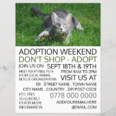 Grijze kat op gras, Pet Adoption Event Adverteren Flyer (Voorkant)