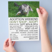 Grijze kat op gras, Pet Adoption Event Adverteren Flyer (Hand)