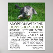 Grijze kat op gras, Pet Adoption Event Adverteren Poster (Voorkant)