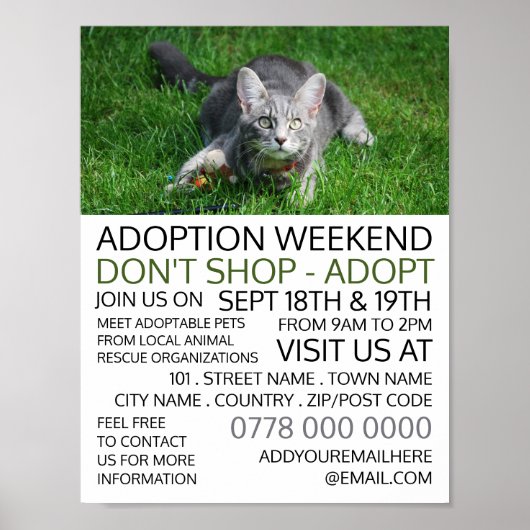 Grijze kat op gras, Pet Adoption Event Adverteren Poster (Voorkant)