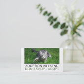 Grijze kat op gras, Pet Adoption Event Adverteren Visitekaartje (Staand voorkant)