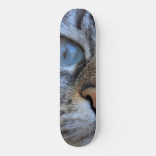 Grijze kat persoonlijk skateboard