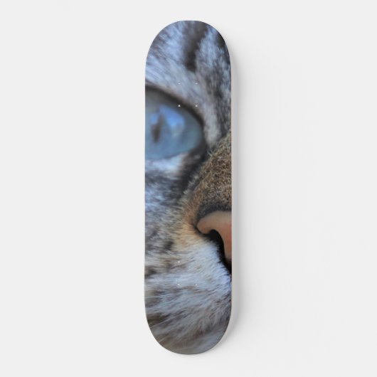 Grijze kat persoonlijk skateboard (Voorkant)