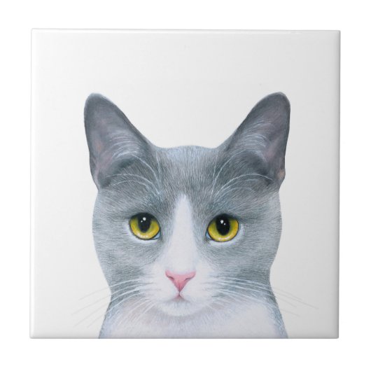 Grijze Kat Portret 611 Tegeltje (Voorkant)