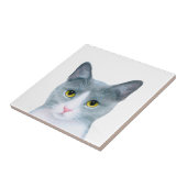 Grijze Kat Portret 611 Tegeltje (Zijkant)