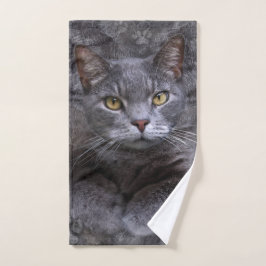Grijze kat portret bad handdoek