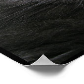 Grijze kat Poster (Hoek)