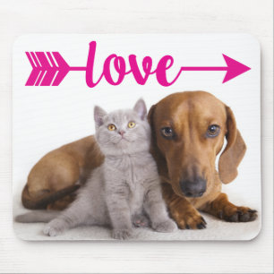 Grijze kat puppy hond cute kitten teckel muismat