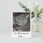 Grijze kat Russisch Blauw Briefkaart (Staand voorkant)