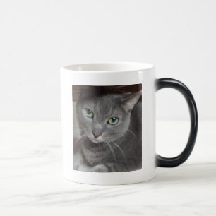 Grijze kat Russisch Blauw Magische Mok