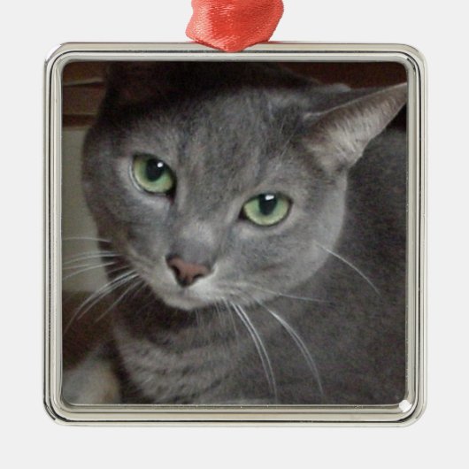 Grijze kat Russisch Blauw Metalen Ornament (Voorkant)