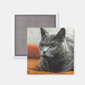 Grijze kat rust met oranje ogen magneet (Voorkant / Achterkant)